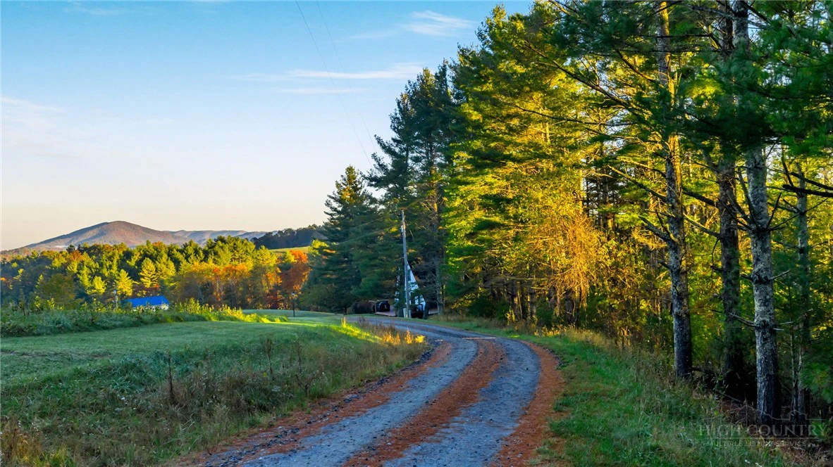 Image number 6 for the current listing