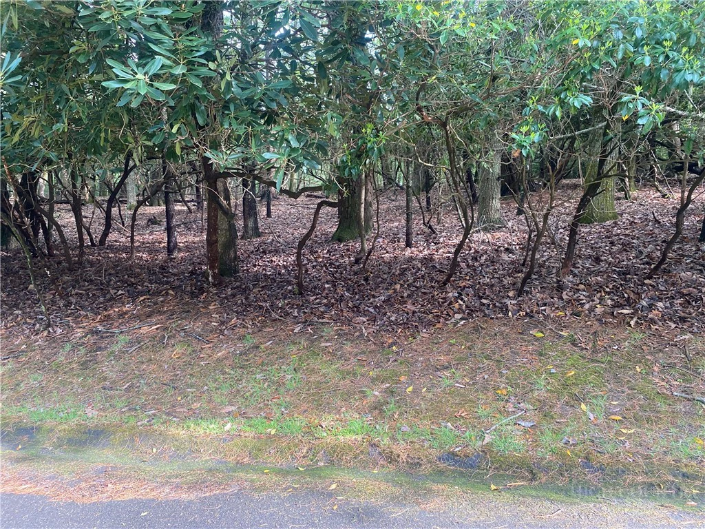 Image number 1 for the current listing