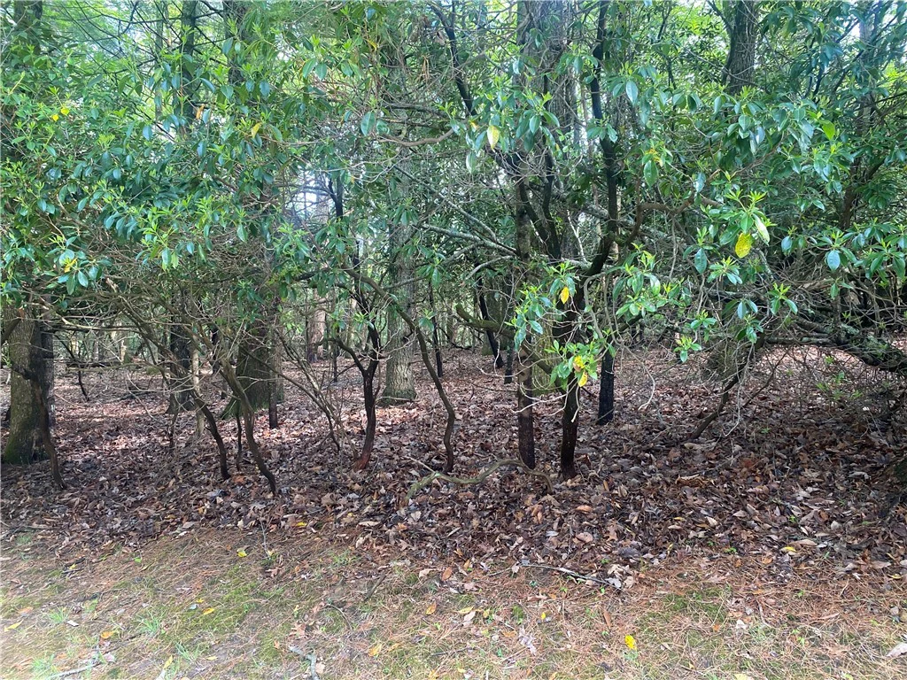 Image number 3 for the current listing