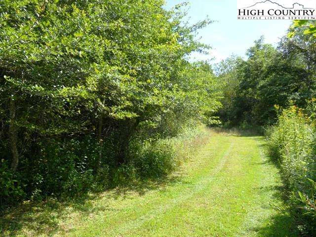 Image number 1 for the current listing