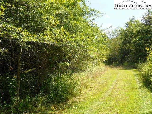 Image number 4 for the current listing