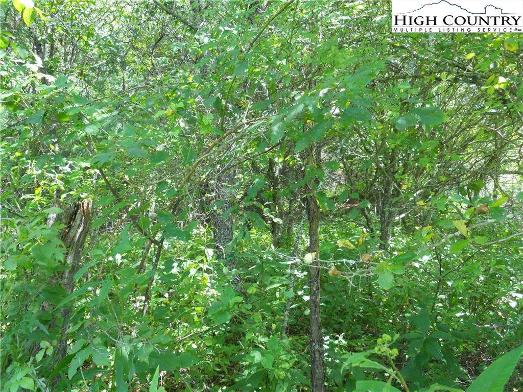 Image number 5 for the current listing