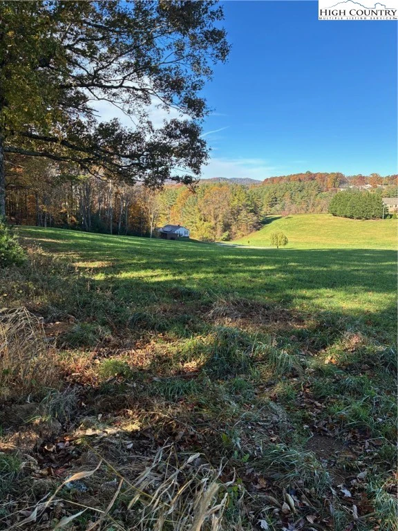 Image number 1 for the current listing