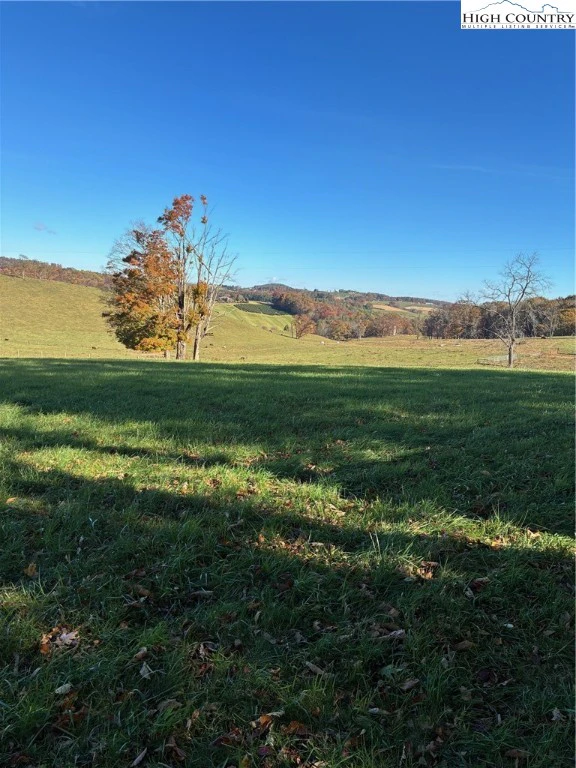 Image number 5 for the current listing