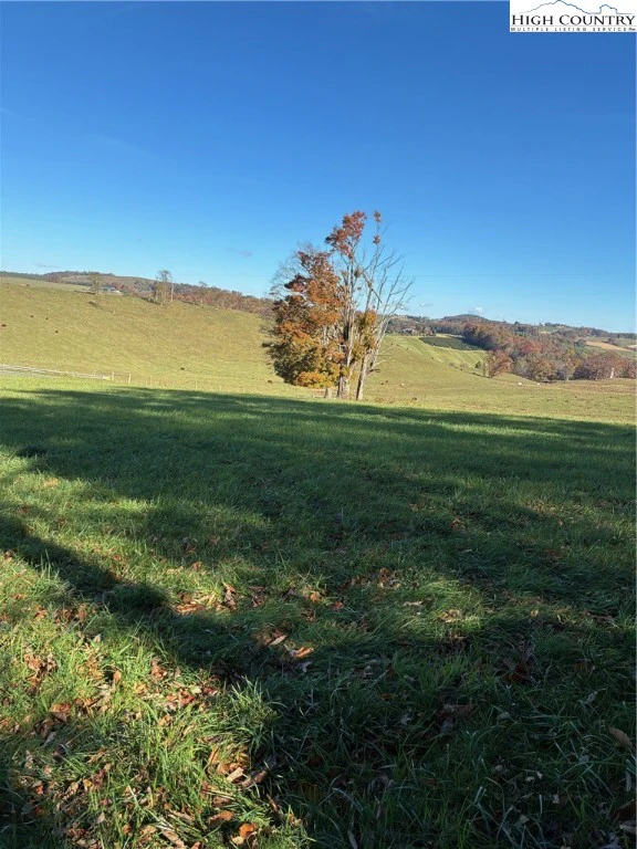 Image number 6 for the current listing