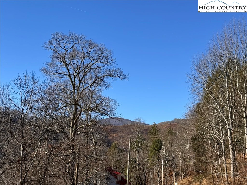 Image number 2 for the current listing