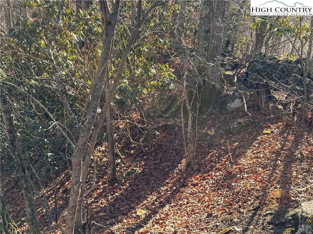 Image number 14 for the current listing