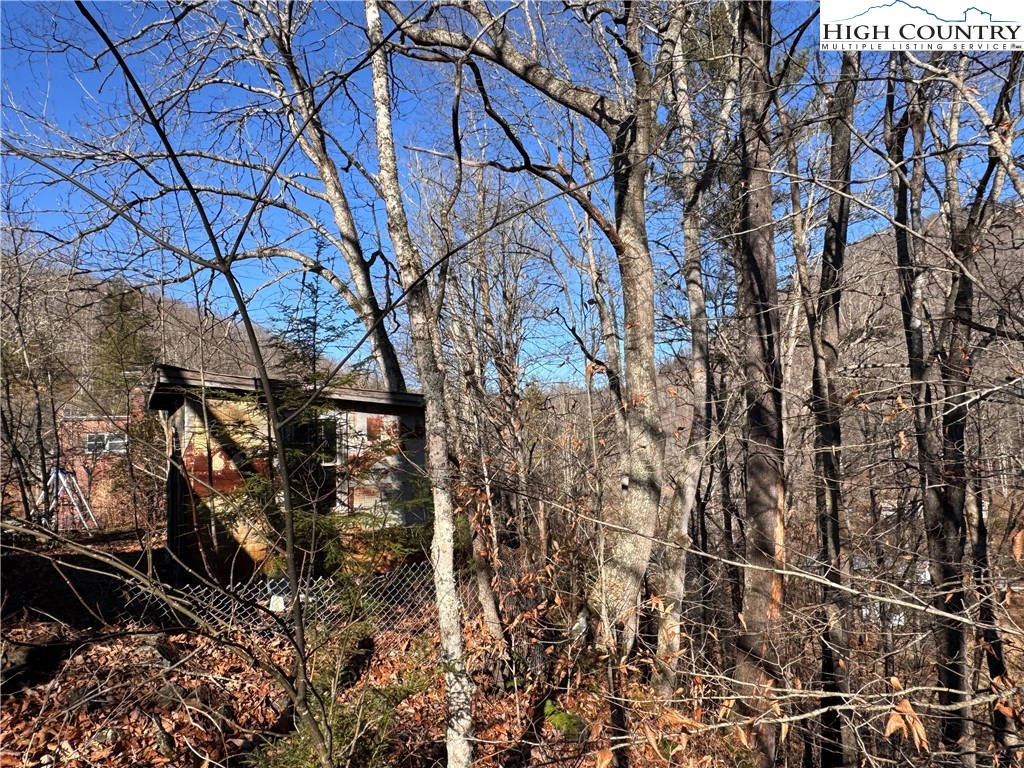 Image number 12 for the current listing