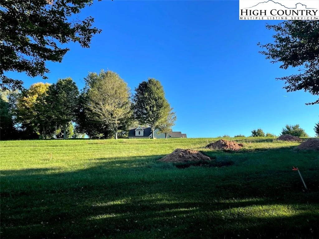 Image number 2 for the current listing