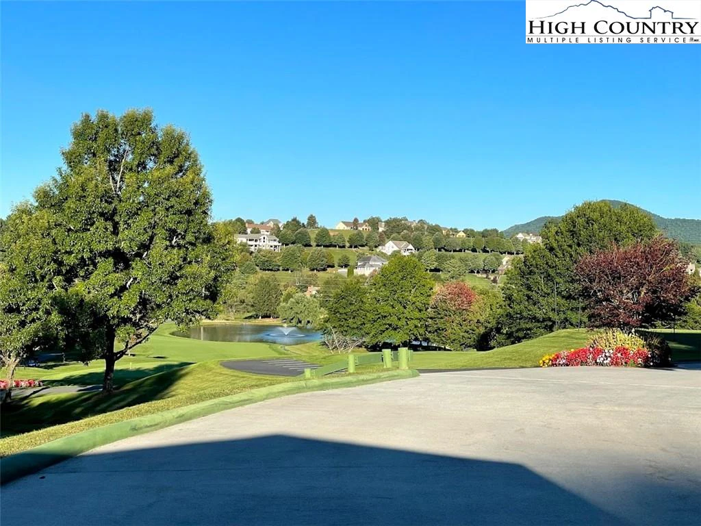 Image number 5 for the current listing