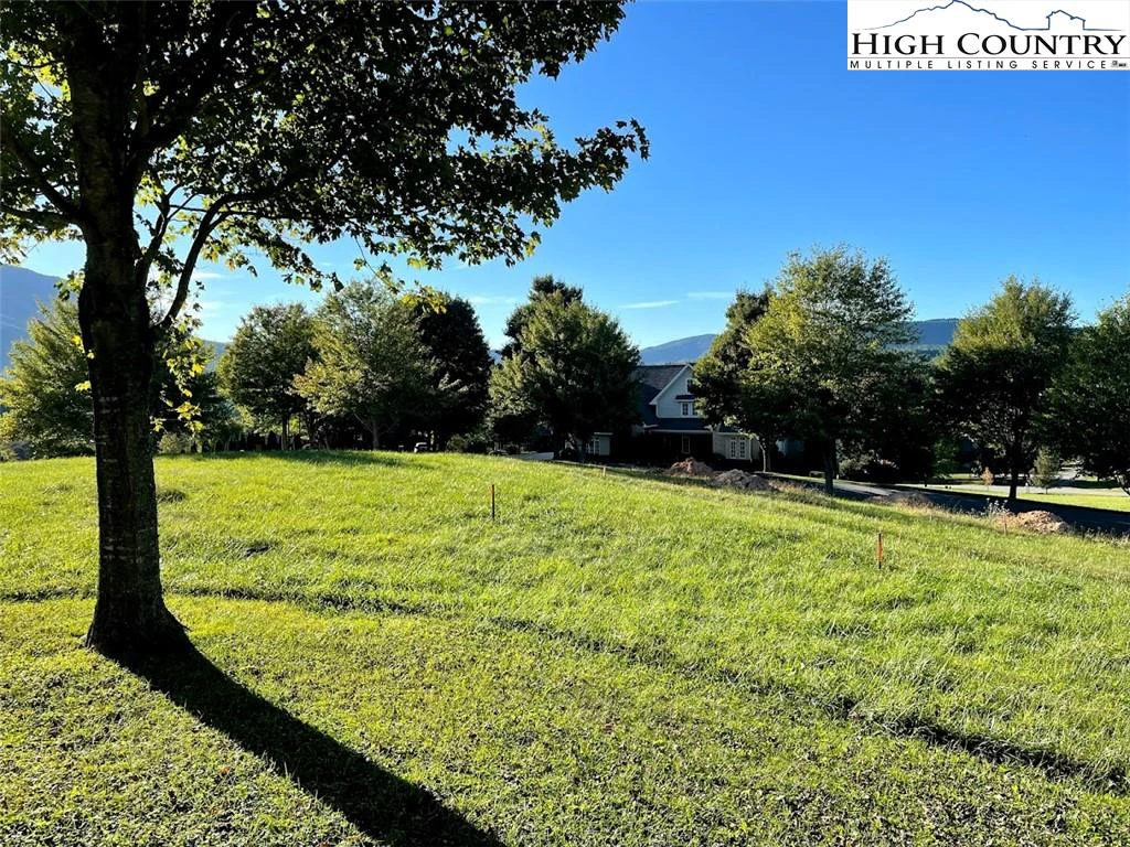 Image number 3 for the current listing