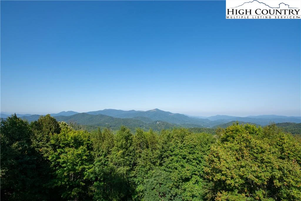 Image number 1 for the current listing