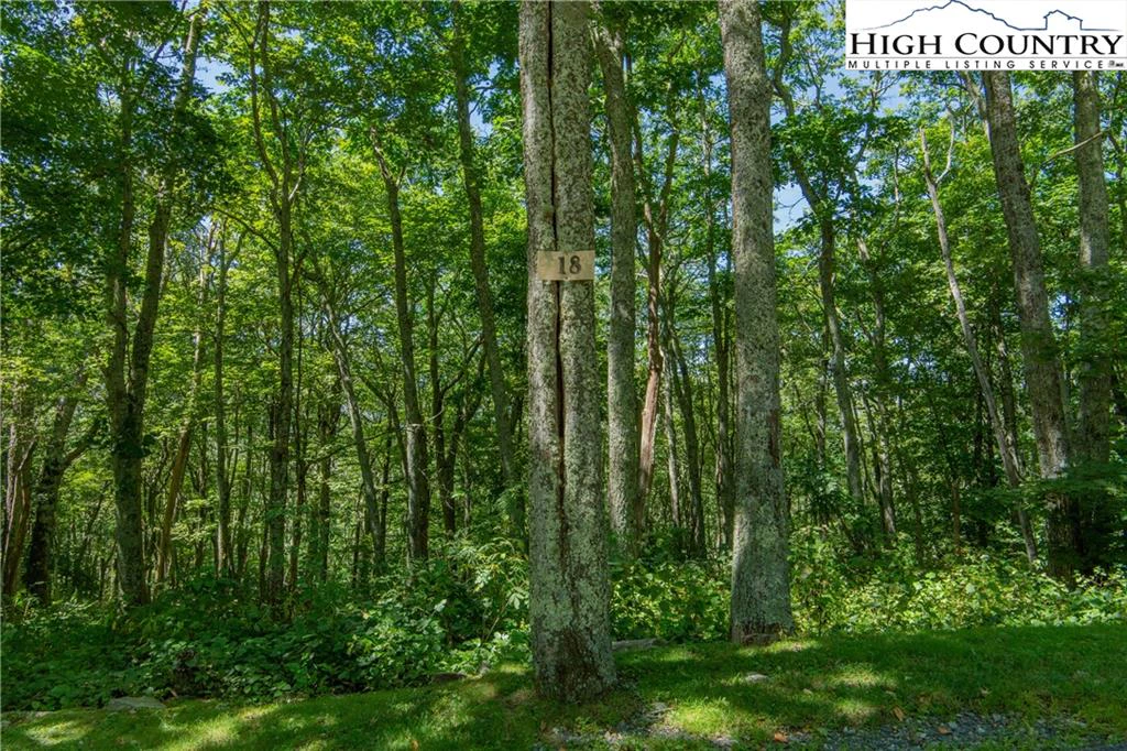 Image number 14 for the current listing