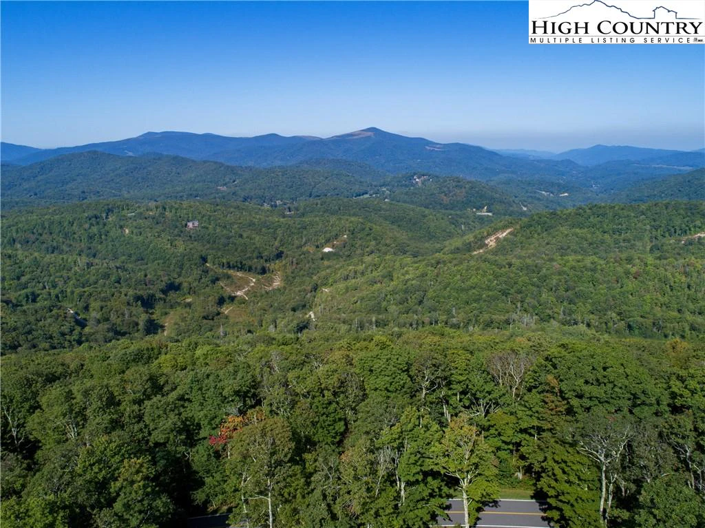 Image number 4 for the current listing