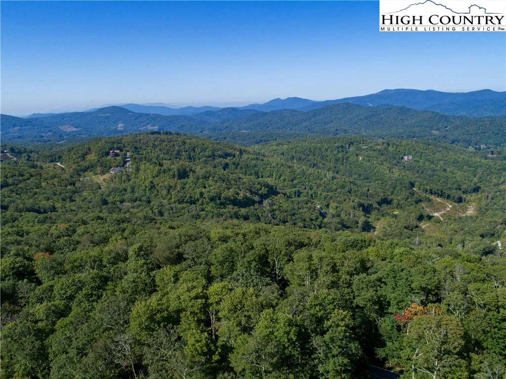 Image number 5 for the current listing