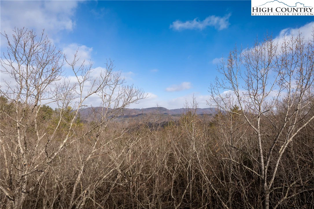 Image number 1 for the current listing