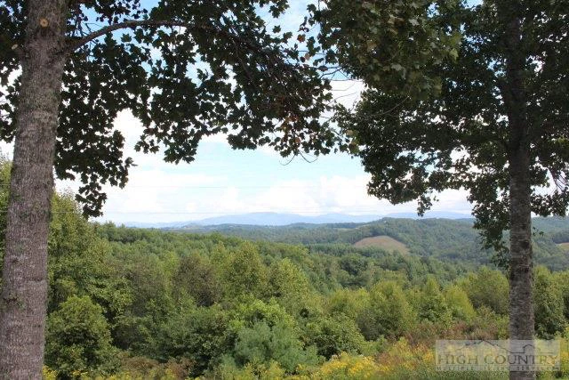Image number 16 for the current listing