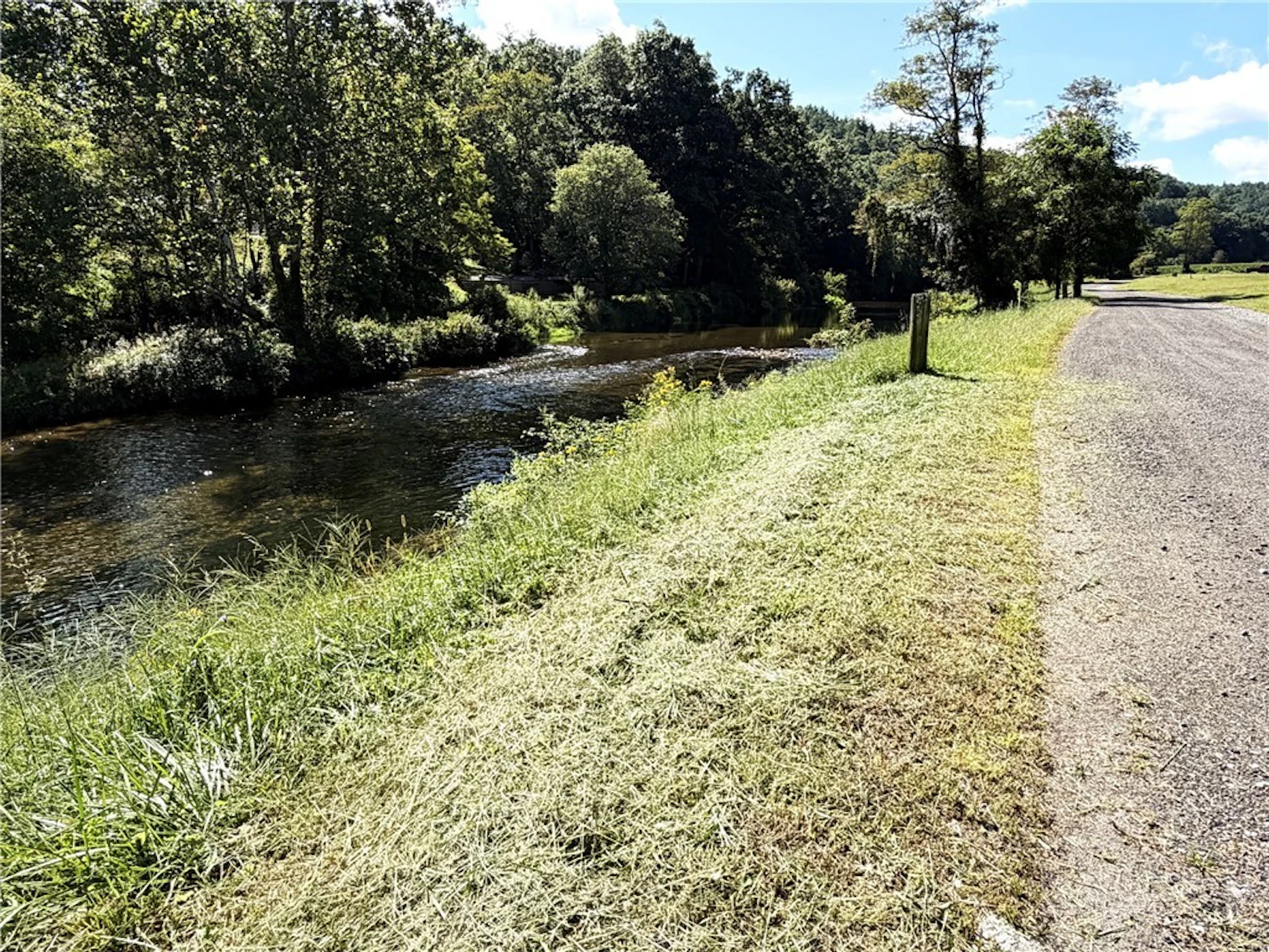 Image number 7 for the current listing