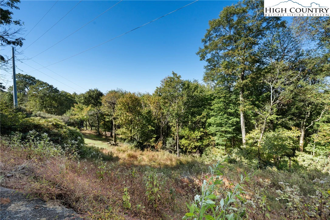 Image number 18 for the current listing