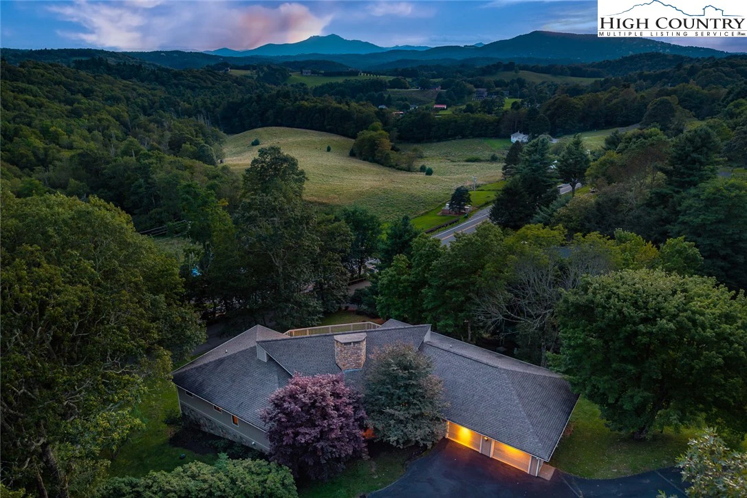 Image number 1 for the current listing
