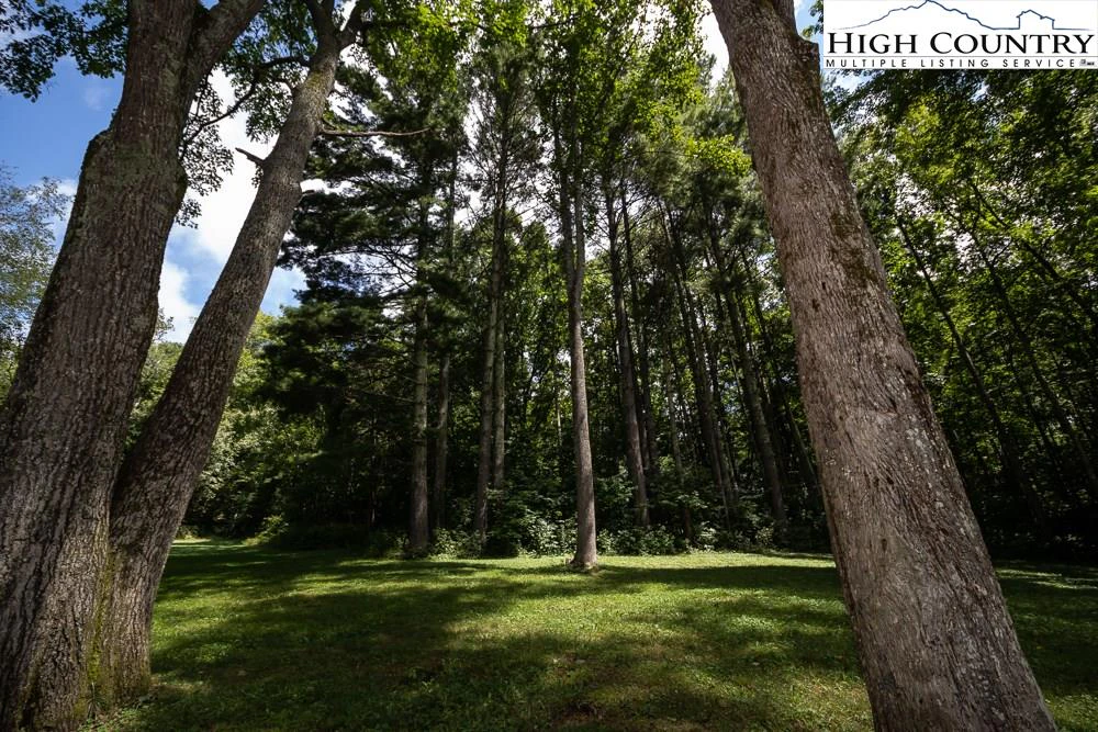Image number 20 for the current listing