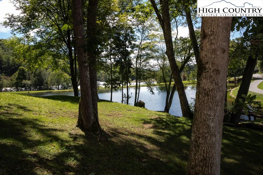 Image number 21 for the current listing