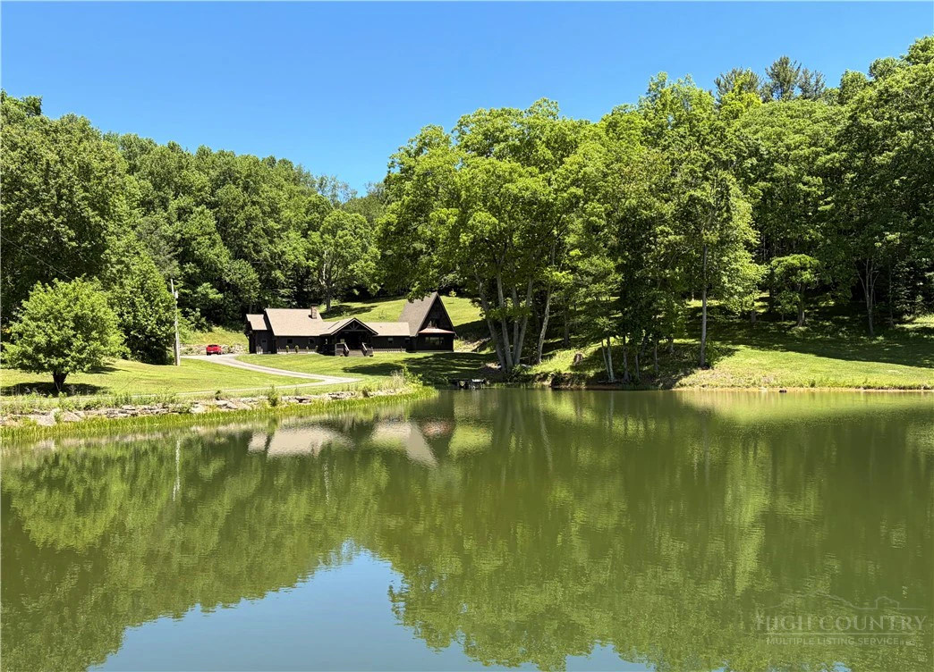 Image number 1 for the current listing
