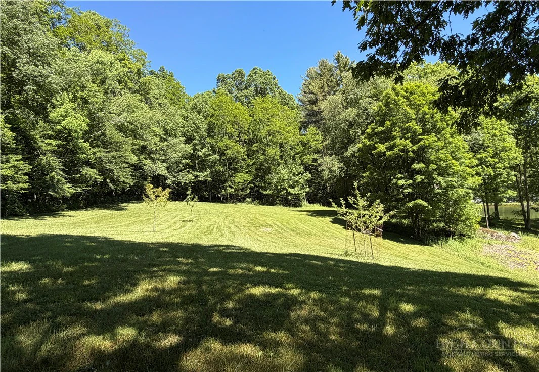Image number 6 for the current listing