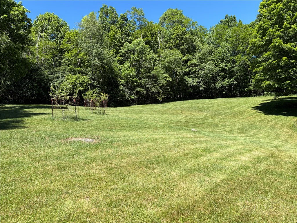 Image number 7 for the current listing