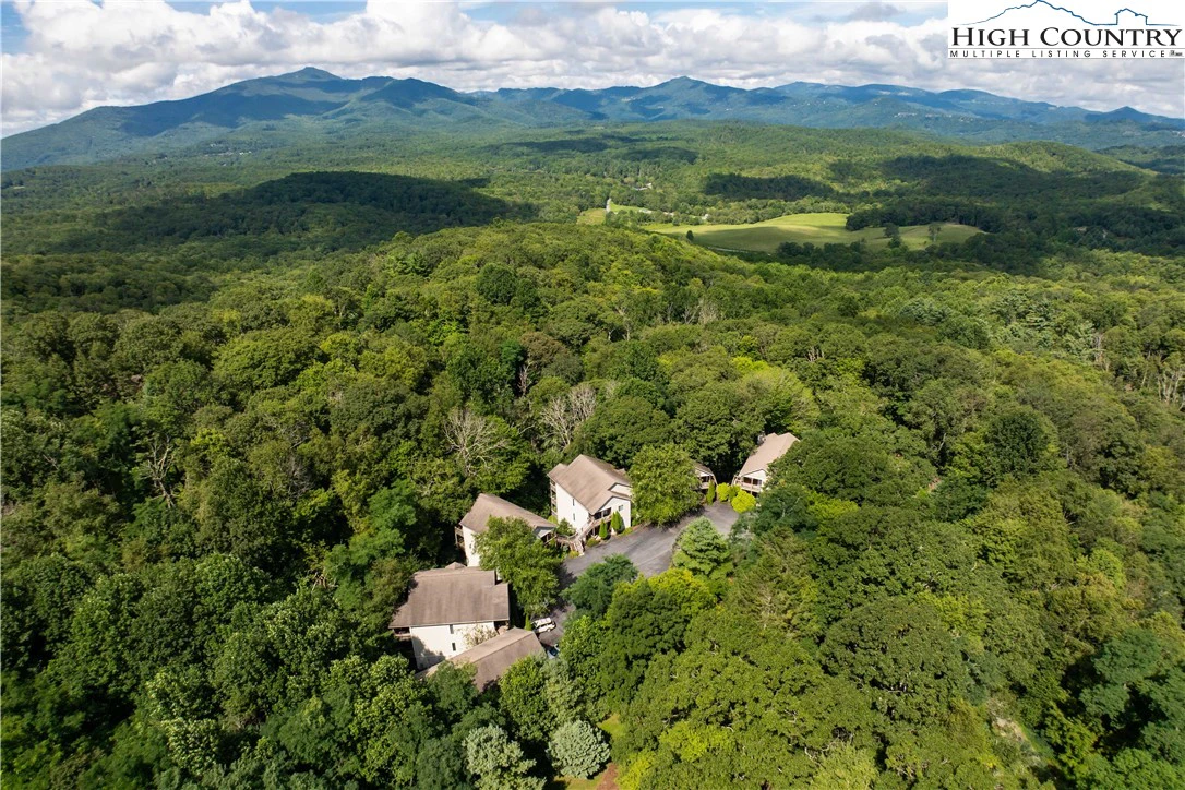 Image number 3 for the current listing