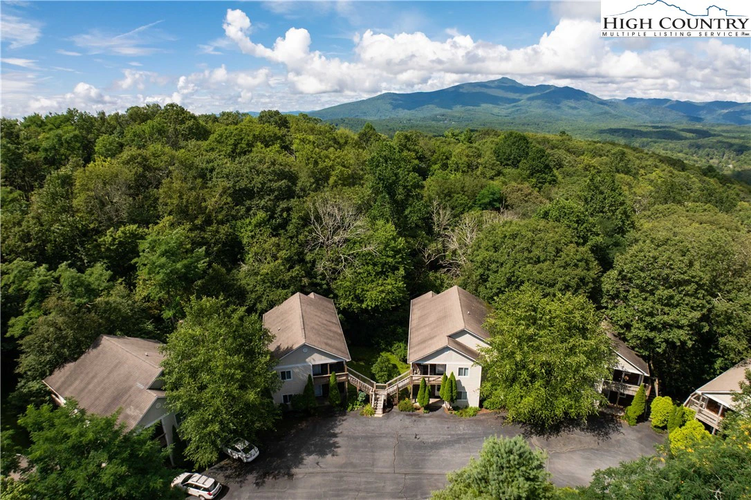 Image number 1 for the current listing