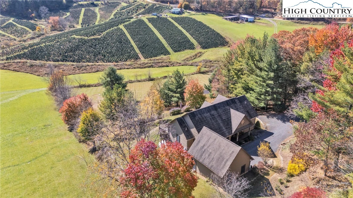 Image number 14 for the current listing