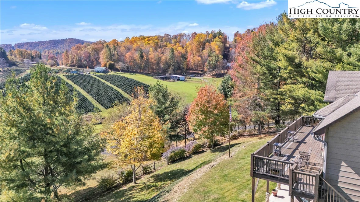Image number 2 for the current listing