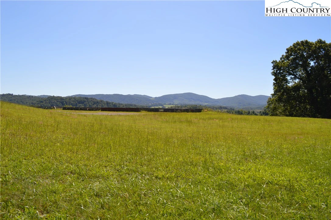 Image number 1 for the current listing