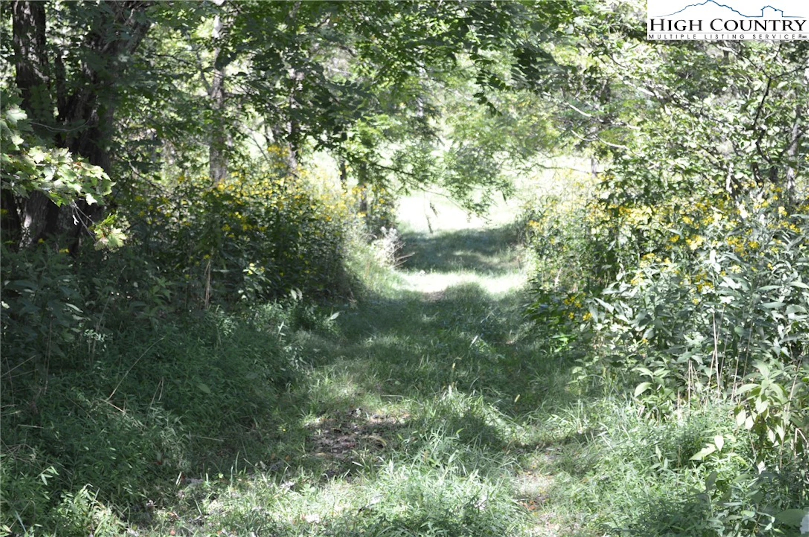 Image number 3 for the current listing
