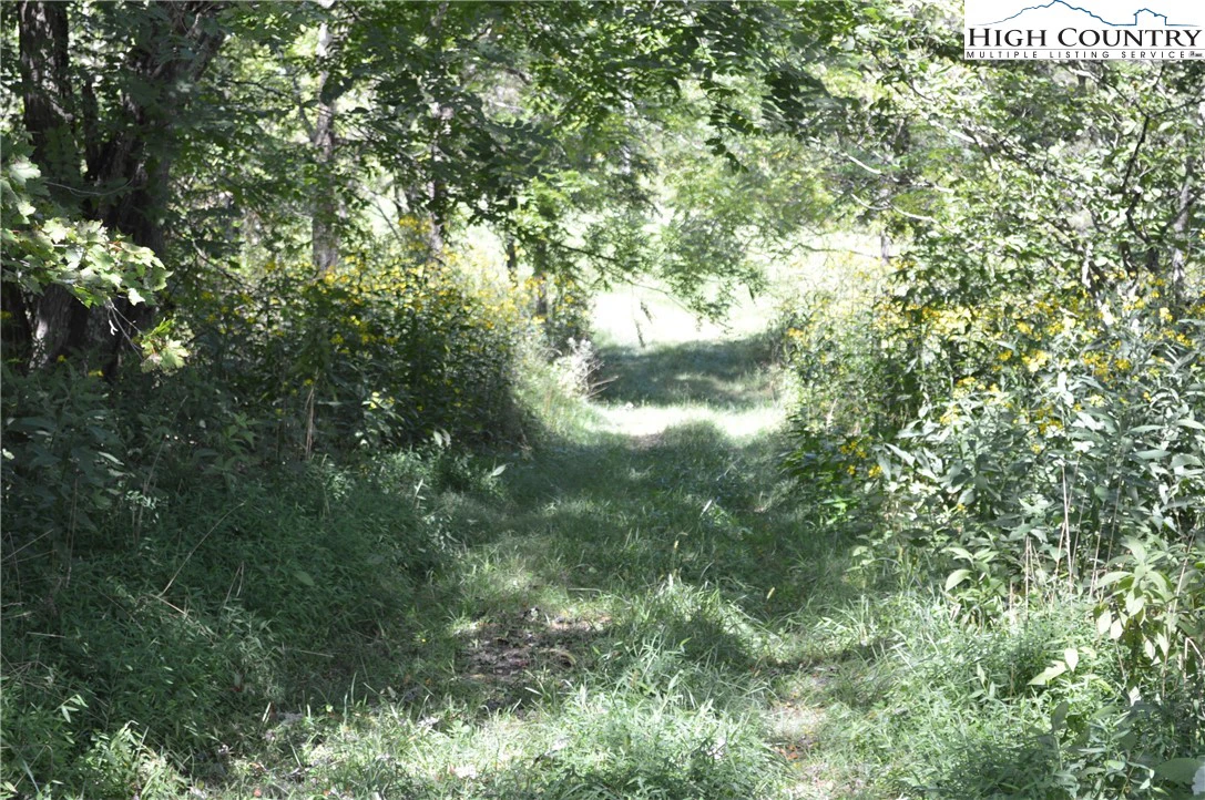 Image number 3 for the current listing