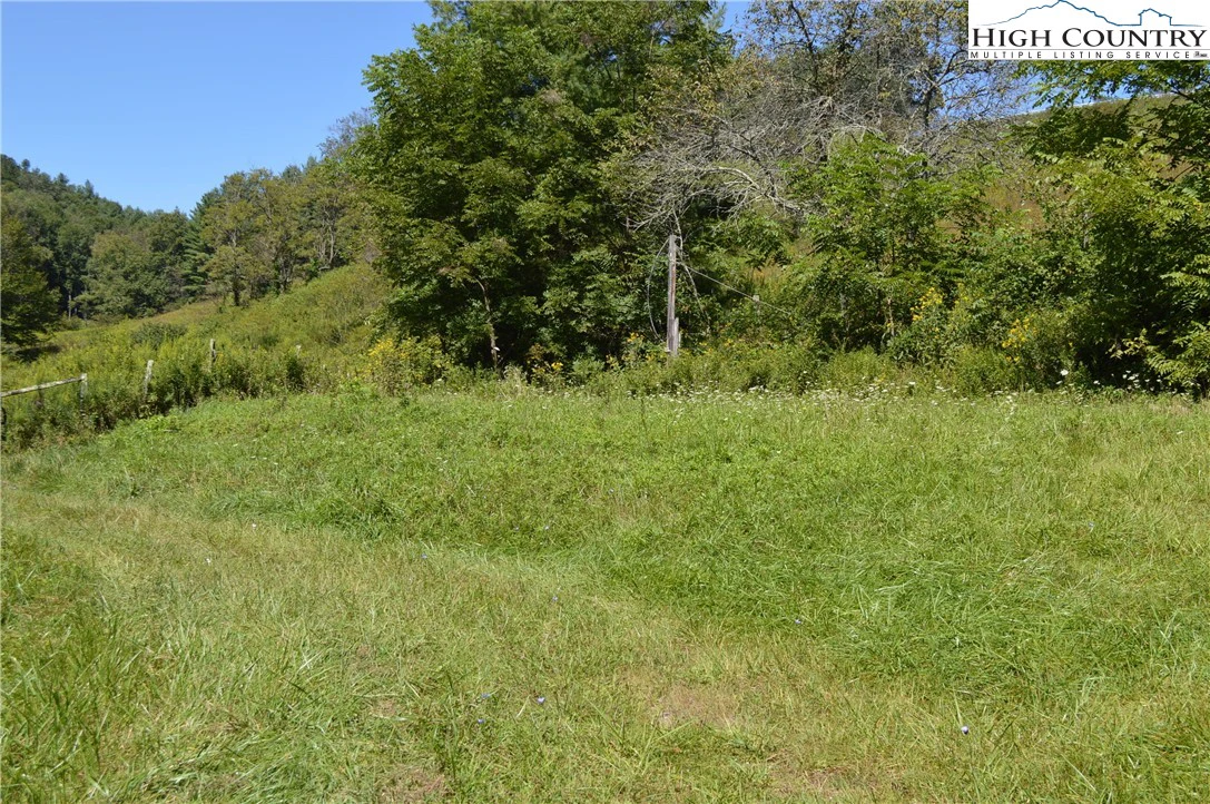 Image number 4 for the current listing