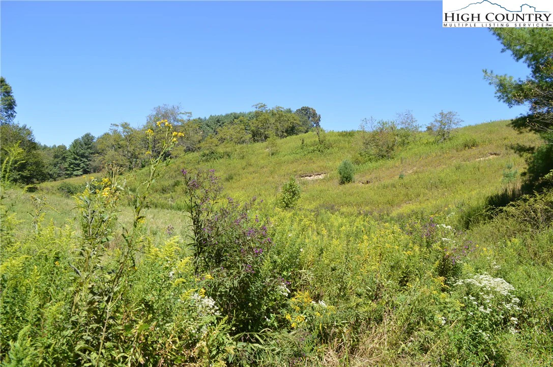 Image number 6 for the current listing