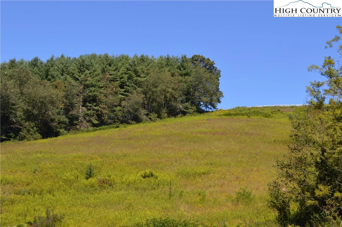 Image number 11 for the current listing