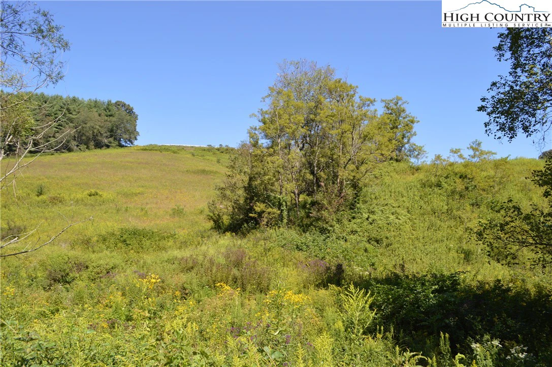 Image number 12 for the current listing