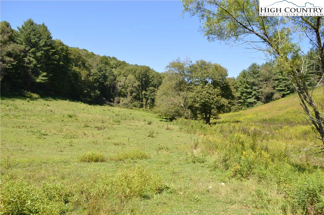Image number 13 for the current listing