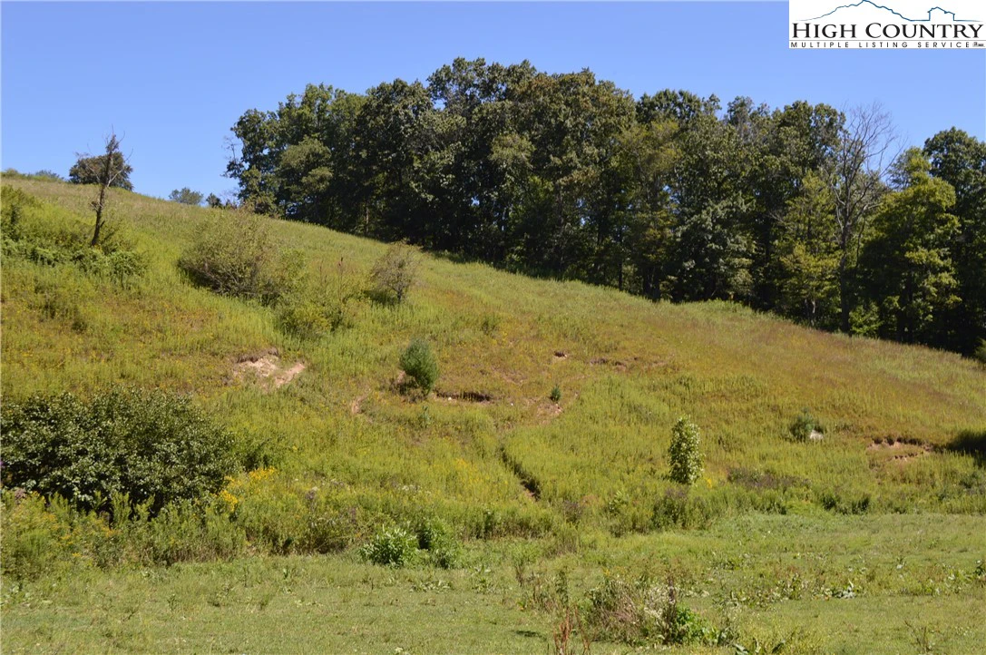 Image number 19 for the current listing