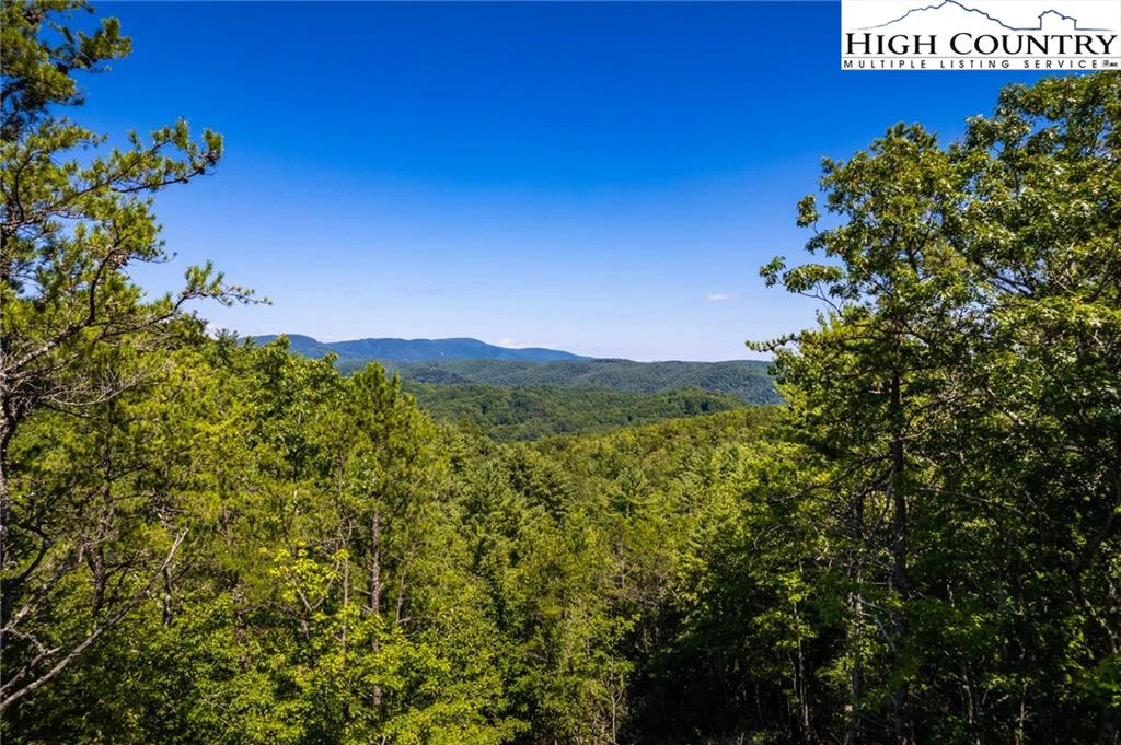 Image number 1 for the current listing