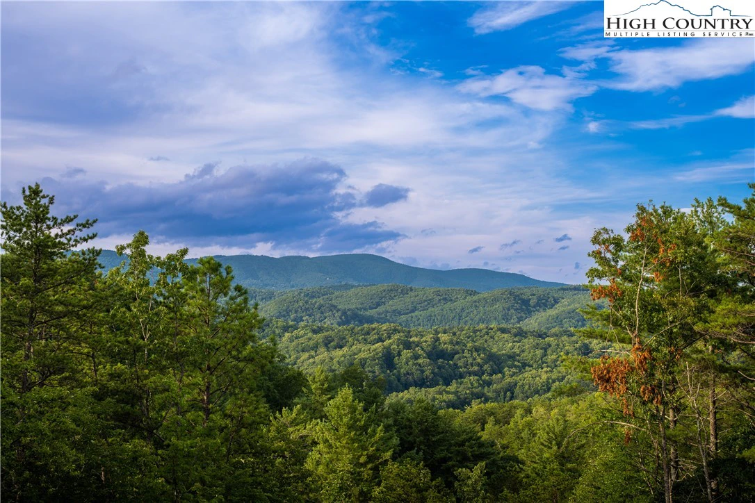 Image number 1 for the current listing