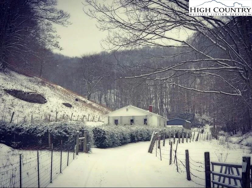 Image number 1 for the current listing