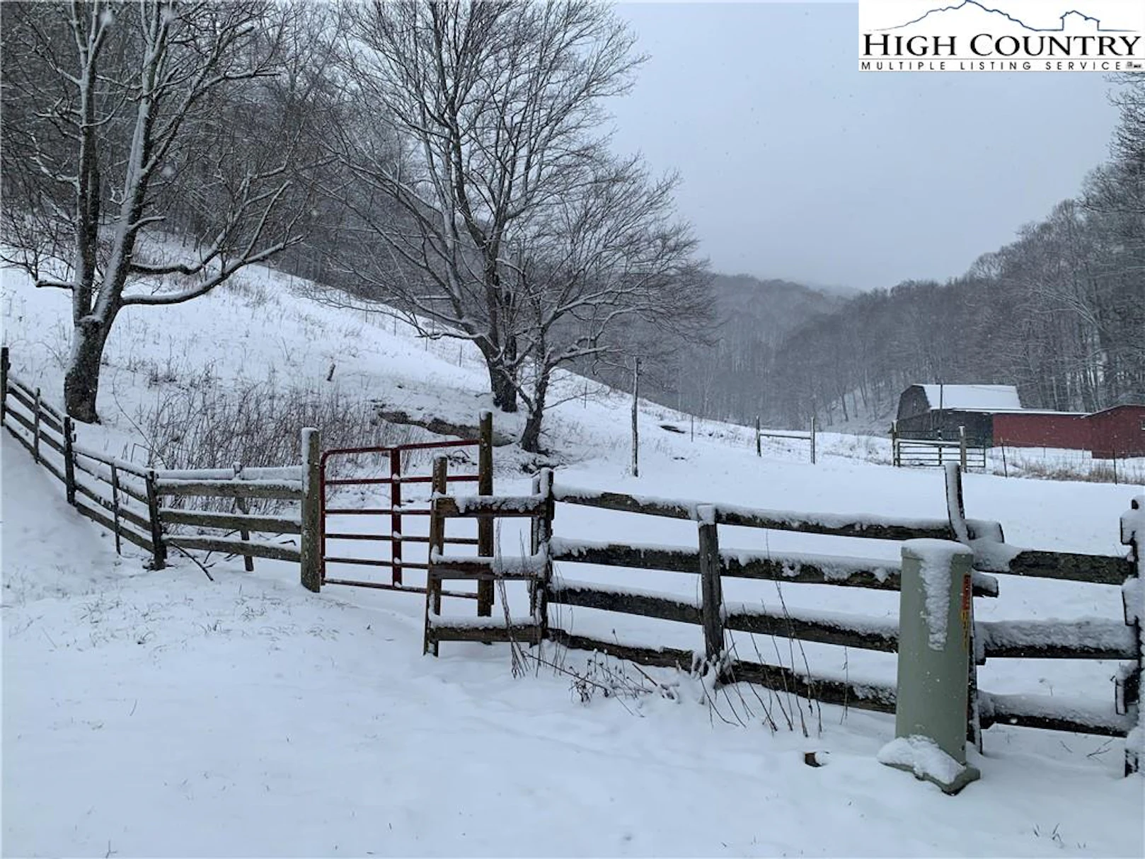 Image number 14 for the current listing