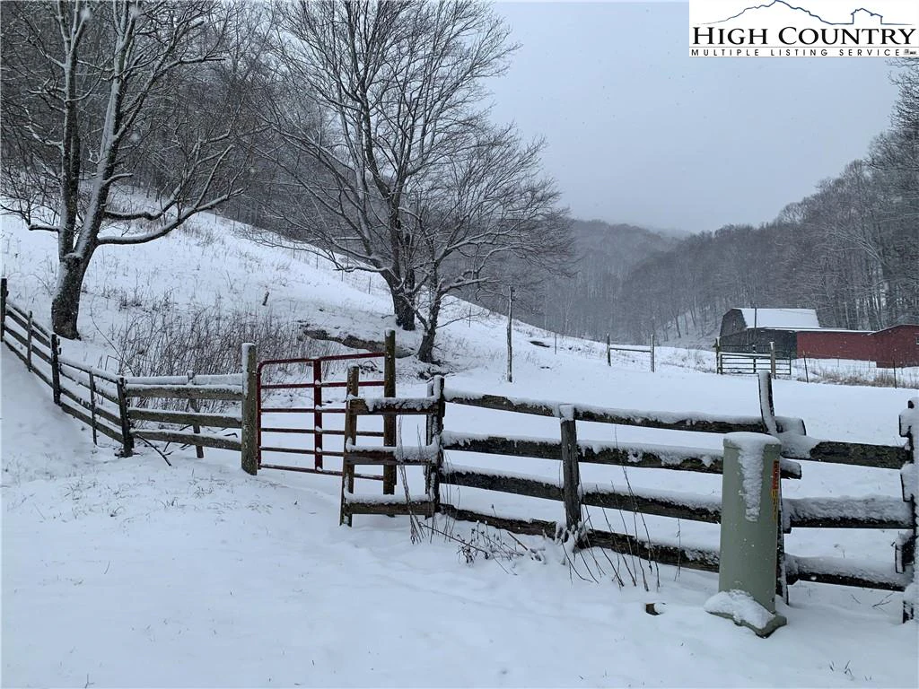 Image number 14 for the current listing