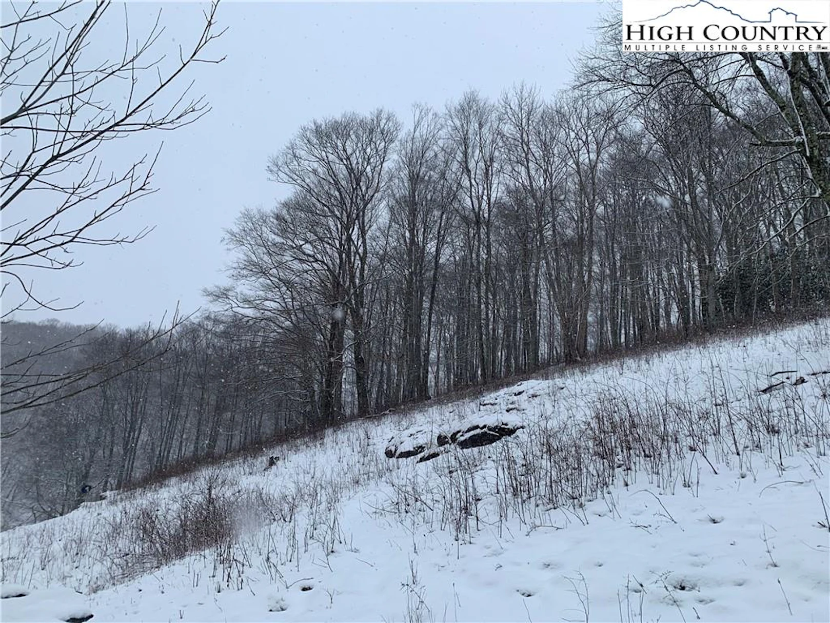 Image number 13 for the current listing