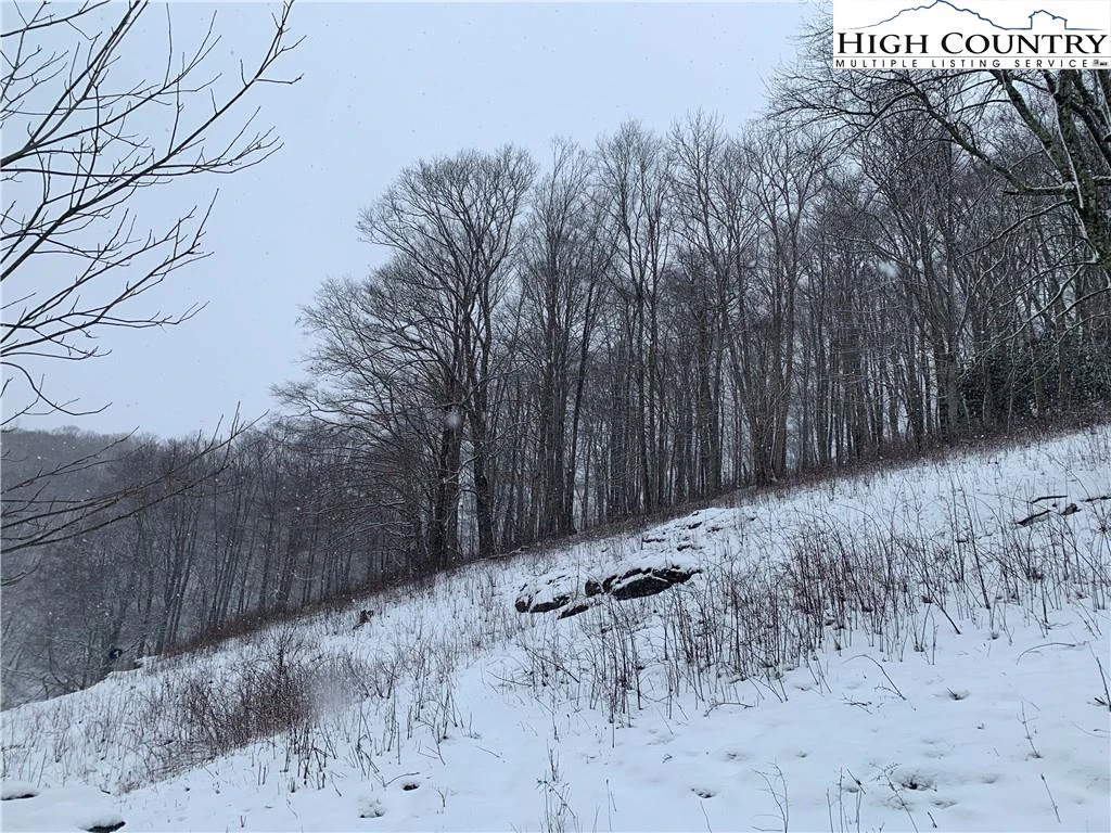 Image number 13 for the current listing