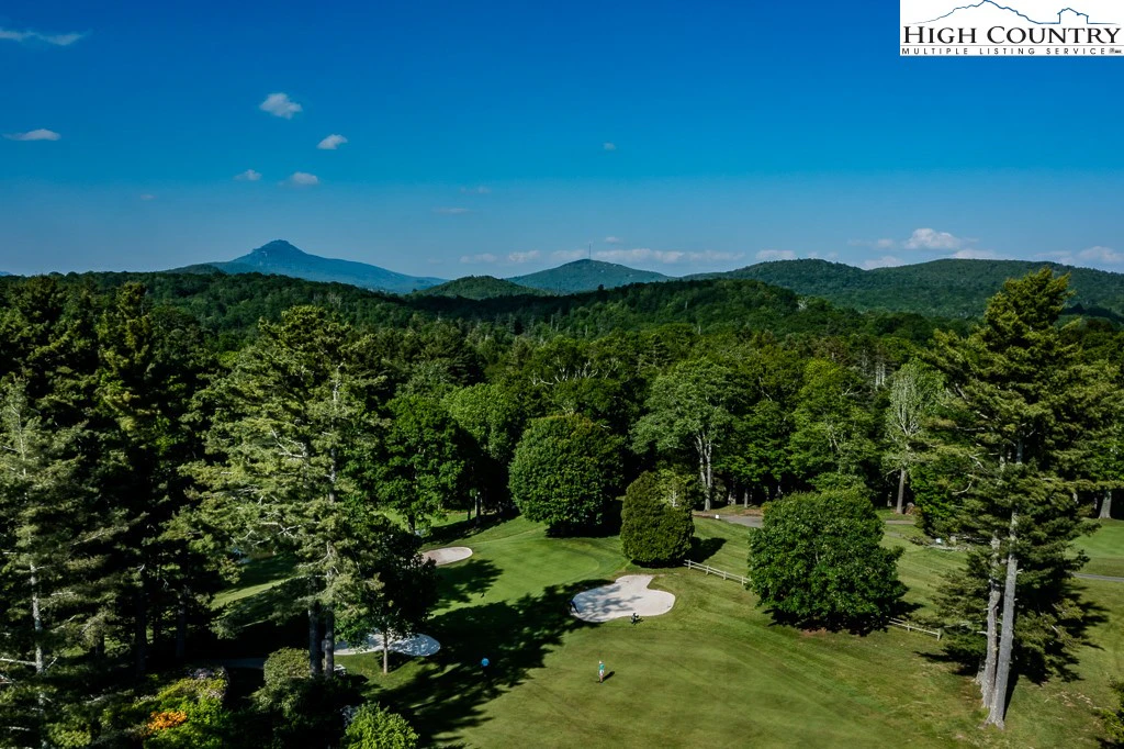 Image number 1 for the current listing